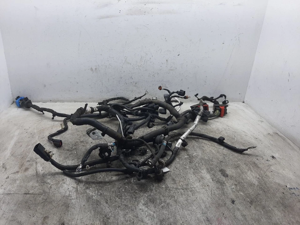 Arnés de cables del motor Ford Focus 2016 2,0 L PZEV sin identificación de niebla G1EZ14290Y Foto 1 de 4