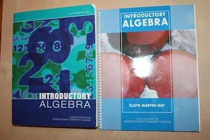 Introductory Algebra Custom Edition For Hudson County Community College, BUNDLE  - Imagen 1 de 4