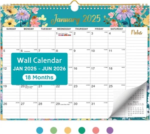 2025 Wall Calendar, Monthly Wall Calendar from January 2025 to June 2026, 11 - Picture 1 of 12
