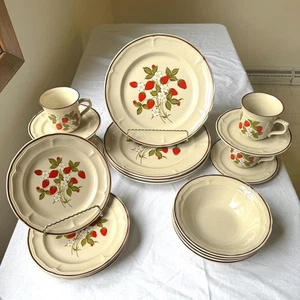 Vintage Susanne by Newcor Strawberry Print Stoneware Plate Set - 20-piece - Picture 1 of 6