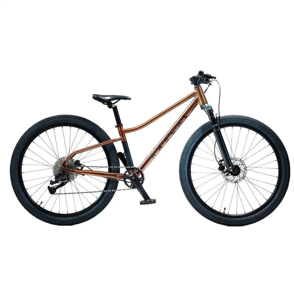 Rascal Bikes Wild 26 - Bronze - Bild 1 von 1