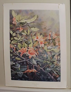 Vintage 20" x 26" Print "Mountain Splendor" by Ralph Taylor 1988 Limited Editi - Picture 1 of 6