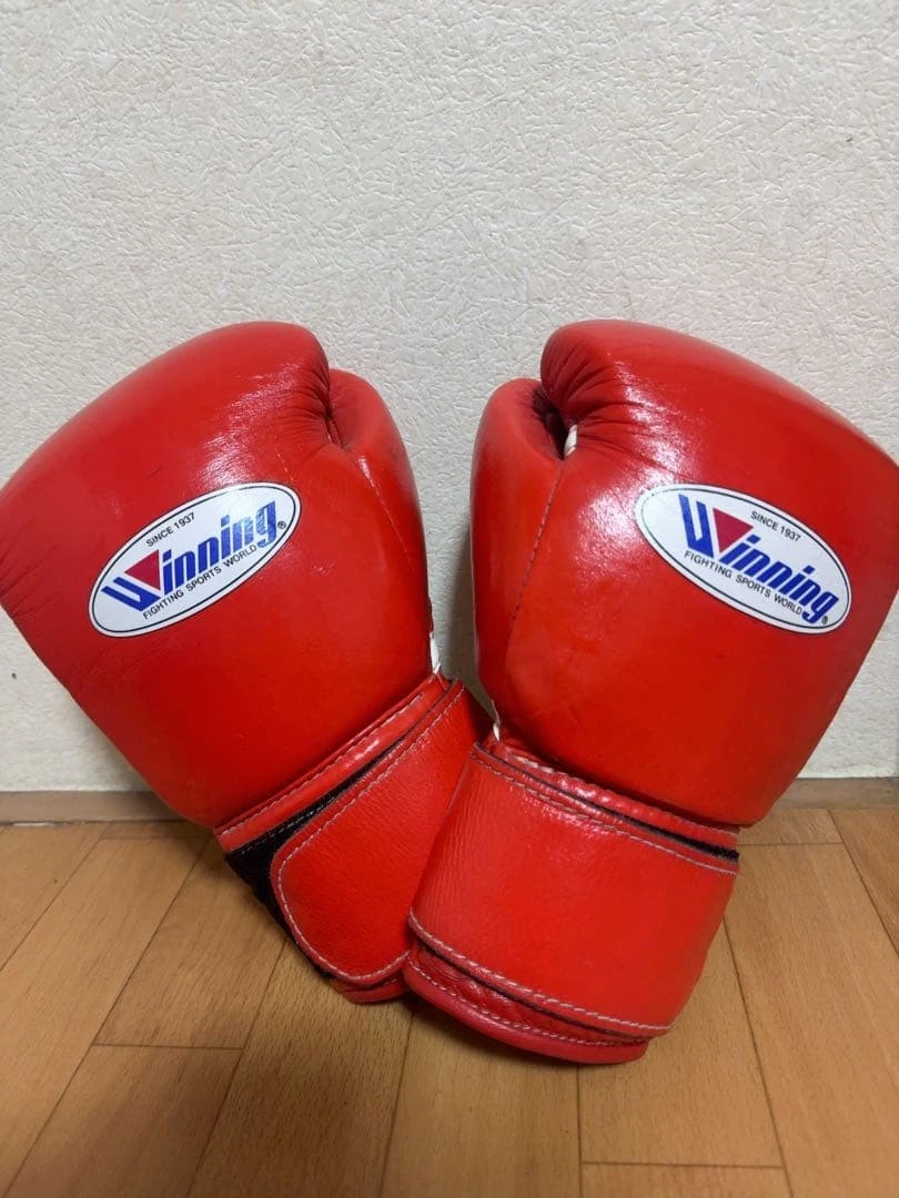 Winning 8 oz. Weight Boxing Gloves for sale | eBay