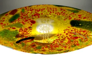 Glas Vase Kosta Boda signiert Bertil Vallien Höhe 24 cm - Bild 1 von 8