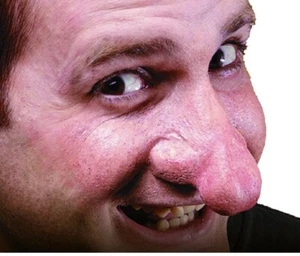 Rubies Costume Co Latex Costume Accessory Large Witch Bulbous Nose Prosthetic - Picture 1 of 1