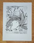 PABLO PICASSO BUFFON HISTOIRE NATURELLE LITHOGRAPH TOAD CRAPAUD 1970 BESTIARY