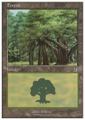 Forest (Splayed Branches) ~ Lightly Played Battle Royale MTG Magic UltimateMTG L - Image 1 of 1