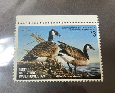 1981 Minnesota State Duck Stamp - Image 1 of 3