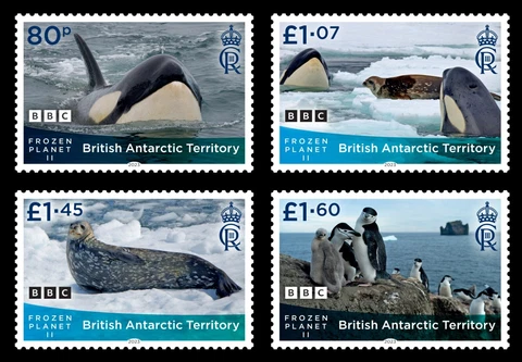 BRITISH ANTARTIC TERR.  2023   PENGUINS ORCA'S  FROZEN PLANET II SET MNH Cover