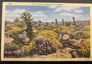  US TEUFEL KAKTUS GARTEN WÜSTENSZENE LEINENANSICHT ARIZONA POSTKARTE - Bild 1 von 2