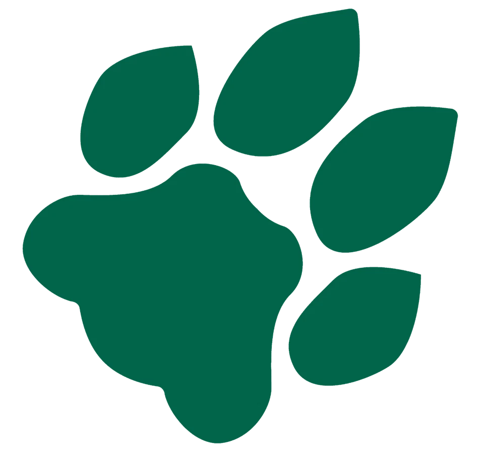 Ohio University Bobcats sticker logo NCAA weatherproof bumper vinyl decal - Image 1 of 1