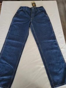 NWT Carhartt FR Signature Flame Denim Dungaree Blue Jeans FRB13-DNM Men’s 30x32 - Picture 1 of 16