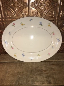 Pope-Gosser  Paula ? China Floral Platter Made In U.S.A. Sterling - Picture 1 of 5