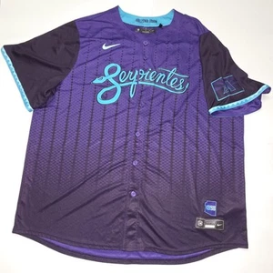 MLB Arizona Dbacks Carroll Serpientes City Connect 2025 Nike Limited Jersey (1D) - Picture 1 of 9