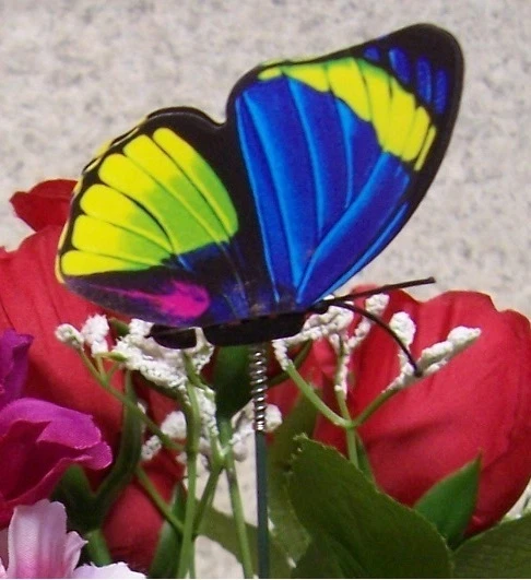 Garden Decor Flower Pot Plant Pick Stake Colorful Butterfly 12“ Tall #10