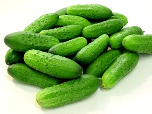 Pepino Marketer ( 300 semillas aprox ) seeds - Imagen 1 de 1