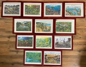 A Complete Set of 12 Nature of America Stamp Sheets Red Frames 1999-2008 - Picture 1 of 12