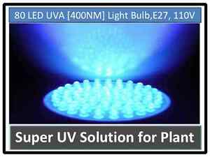 Medicinal Herb & Plant UV Grow 80LED 400Nm Light Bulb 110V E27 USA Engineer Cert