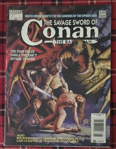 The Savage Sword Of Conan The Barbarian Marvel Comics June #210 - Picture 1 of 1