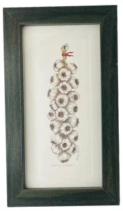 AUSGEFALLENE NELKEN DRUCK MARTY FYNE KUNST GEMÜSE KÜCHE ESSZIMMER 11,5” x 6,5” - Bild 1 von 6