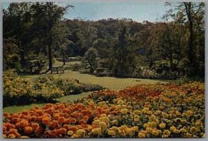 Harlow Car Gardens Harrogate Yorkshire England Postcard Unposted - Picture 1 of 2