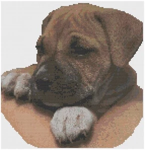 Cross Stitch Pattern  by Florashell - Boxer Puppy Dog - Picture 1 of 1