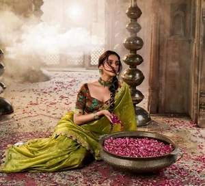 Indian Traditional Pure Tissue With Beaufort Multicolored Lace & Heavy Designer - Picture 1 of 20