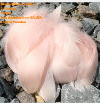 500 Pieces Packed Loose Goose Nagoire Feather Fillers Feather Confetti  - Image 1 of 4