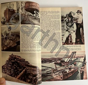 LOGGING CRIBS IN PUGET SOUND 1949 PICTORIAL SEA DOZER PORT ANGELES WASHINGTON - Picture 1 of 3