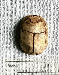 Ägyptische geschnitzte cremefarbene Vintage? Skarabäus Käfer große Perle - Bild 1 von 7