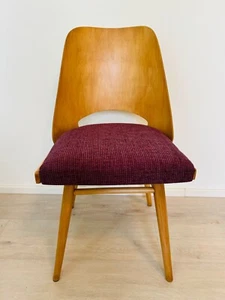 TON Dining chair by Radomir Hofman Model 514, Czechoslovakia 1960s - Picture 1 of 11