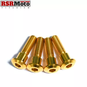 Suzuki RGV250 Titanium Rear Brake Disc Bolts, 1987-1998, All Models, Gold - Bild 1 von 3
