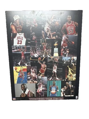 Chicago Bulls basketball memorabilia print titled 'Through the Years' - Image 1 of 2
