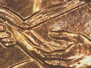 2009 P BU FY FAMOUS 2-SIDED DOUBLED DIE WDDR-006 SKELETON FGR & OBVERSE WDDO-002 - Picture 1 of 22