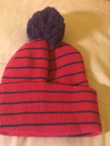 PINK AND PURPLE STRIPED SKULL Cap - New Beanie - Picture 1 of 1