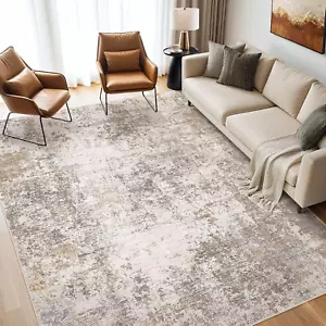 Area Rugs for Living Room: 5X7 Large Soft Washable Rug Modern Abstract Non-Slip  - Picture 1 of 9