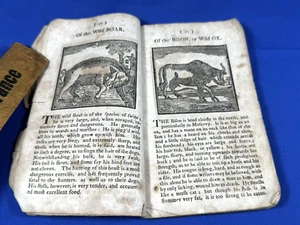 RaRe 1813 Beasts and Birds Book w/ Engraving of Each ~ Lincoln & Edmands Boston - Bild 1 von 16