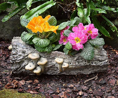 ❀ Blumenkasten Jardiniere Grau Braun 34cm Pilze Zement Pflanzkasten Übertopf #GW - Bild 1 von 4