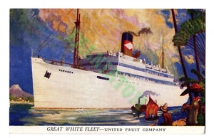 Great White Fleet - T.E.S. Veragua at Sea ~ United Fruit Co. Ship - Postcard - Picture 1 of 2