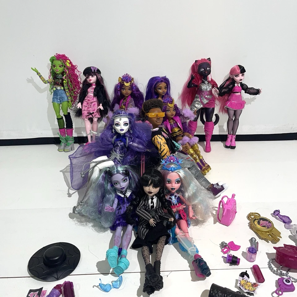 Large Mattel 2021 Monster High Doll Lot With OG Car  Accessories Amazing Shape - Image 1 of 4