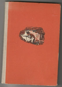 Anneliese Ichenhäuser: Der verborgene Schatz DDR Jugendbuch illustriert Ostalgie - Bild 1 von 2