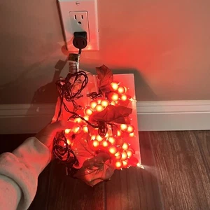 Grape Cluster Lights 5ft Brand New In Box - Picture 1 of 4