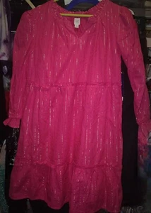 New NWT Gap Kids Magenta Pink Dress W Gold Pinstripes Girls Juniors Xl 14/16 - Picture 1 of 4
