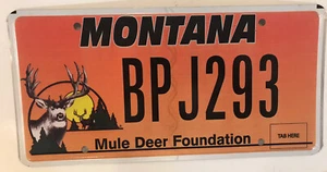 WILDLIFE DEER license plate Nature hunt hunting Animal Hunter Wild Stag Buck Doe - Picture 1 of 12