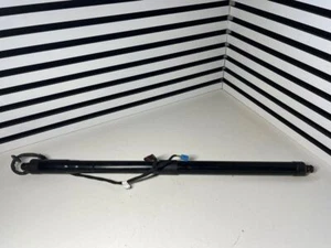 Original Porsche Panamera (970) 2012 Heckklappe Kofferraum Federbein Dämpfer 970512573 - Bild 1 von 5