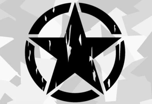 2x US EJÉRCITO ESTRELLA RETRO STICKER COCHE COCHE PEGATINA RATA EJÉRCITO ESTRELLA OLDSCHOOL x1  - Imagen 1 de 2