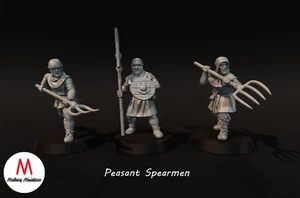 Medieval - Peasant Spearmen - Picture 1 of 5