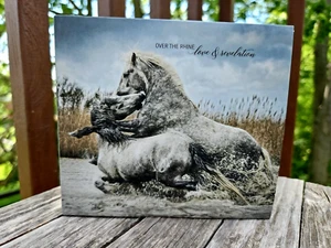 Love & Revelation Over the Rhine Musik-CD SIGNIERT! - Bild 1 von 6