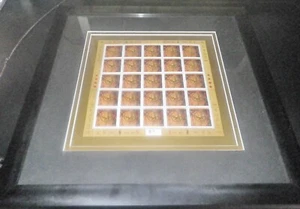 #2348 2010 CANADA FRAMED BLOCK 25 STAMPS Lunar New Year of The Tiger - Picture 1 of 4