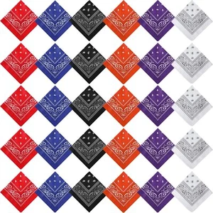 30PCS Paisley Bandanas Bulk Unisex Cowboy Head Wrap Scarf Women Men Handkerchief - Picture 1 of 7